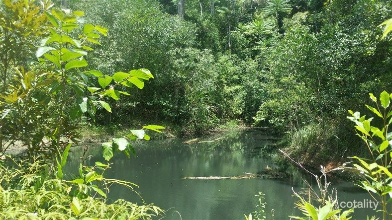 48 Sanctuary Cl, Speewah, QLD 4881