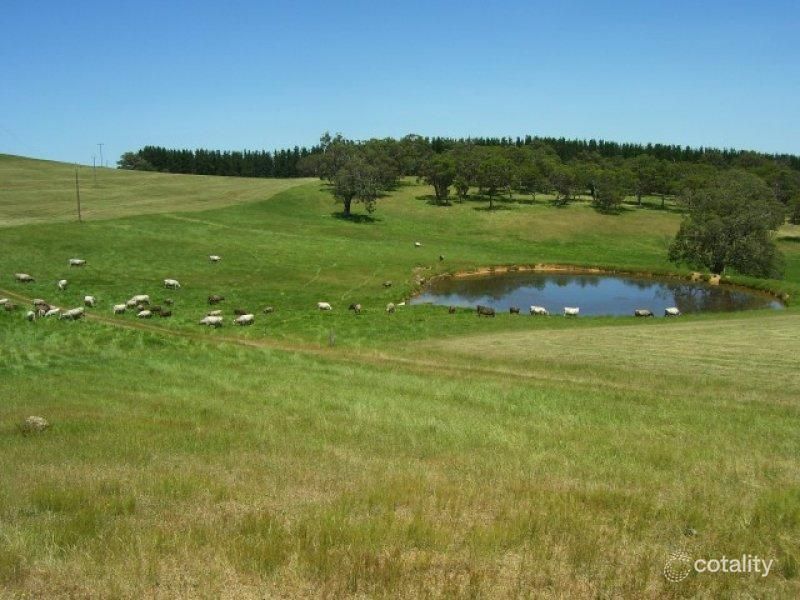 280 Milligan Rd, Blackfellows Creek, SA 5201