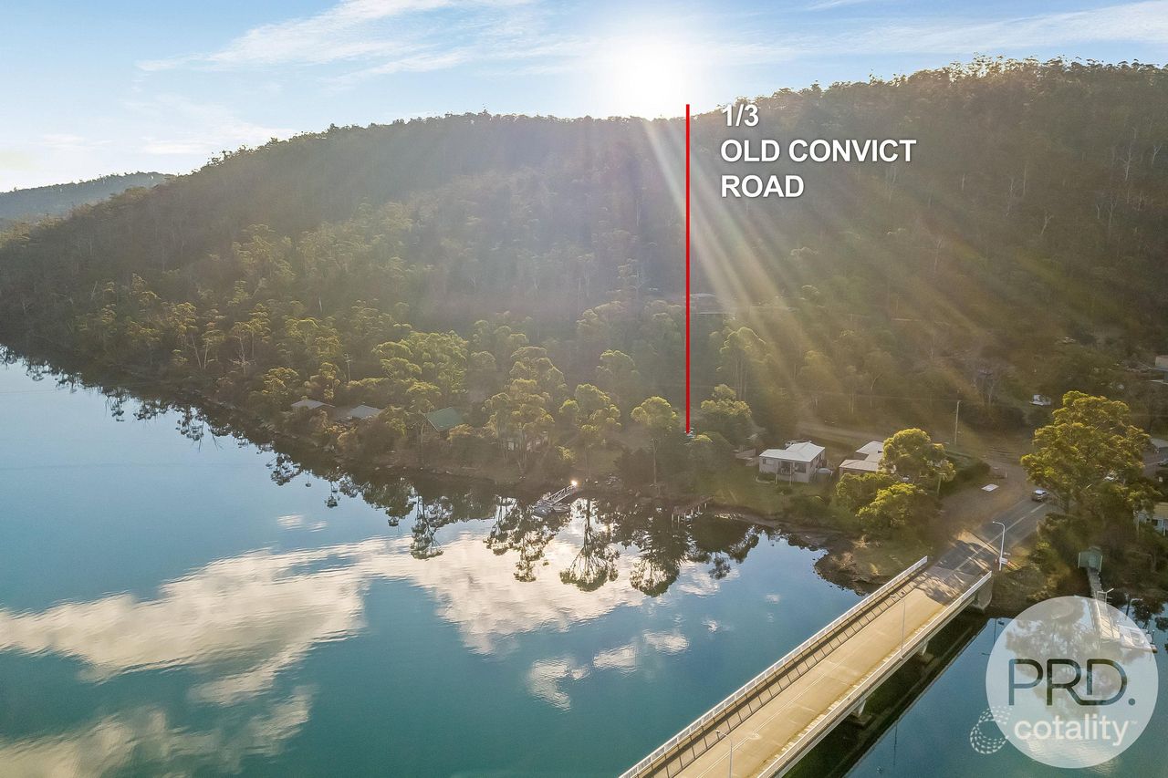 1/3 Old Convict Rd, Orford, TAS 7190