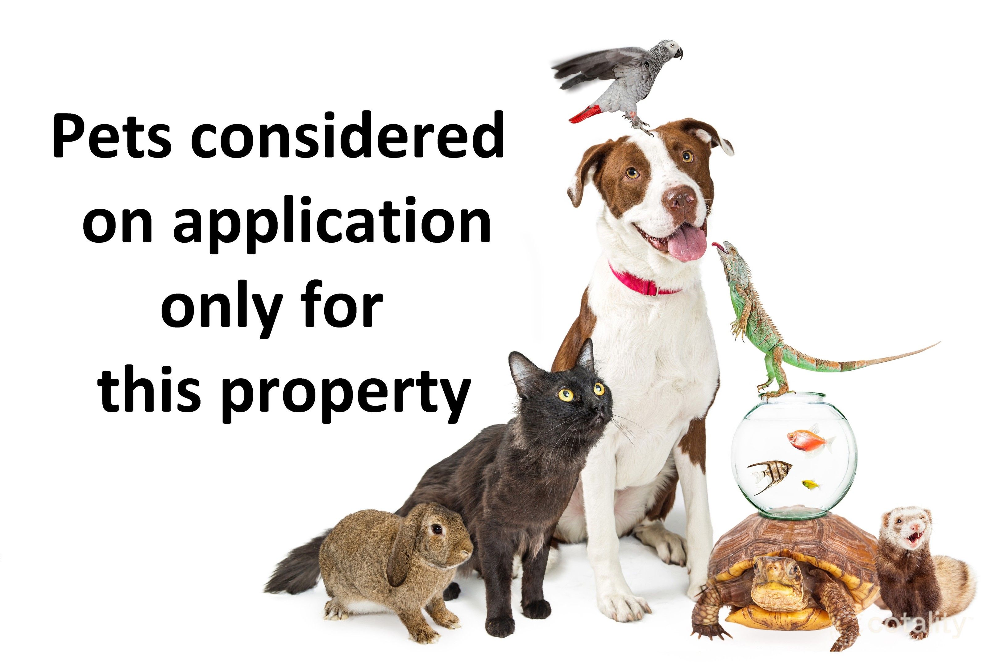 19 Collwood Cres, Orange, NSW 2800