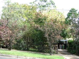 11 Darvall Rd, Eastwood, NSW 2122