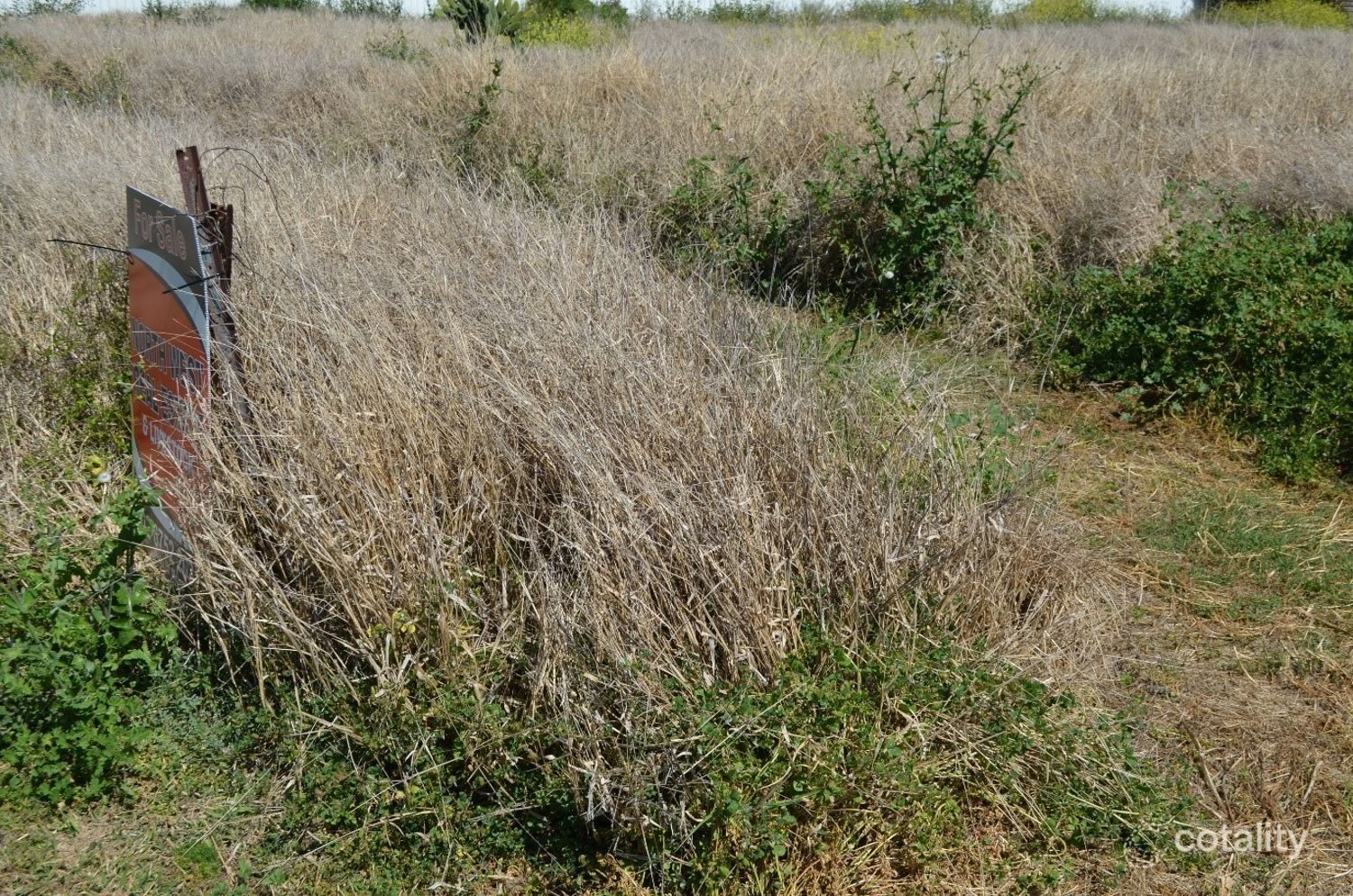 6 Welbon St, Ashley, NSW 2400