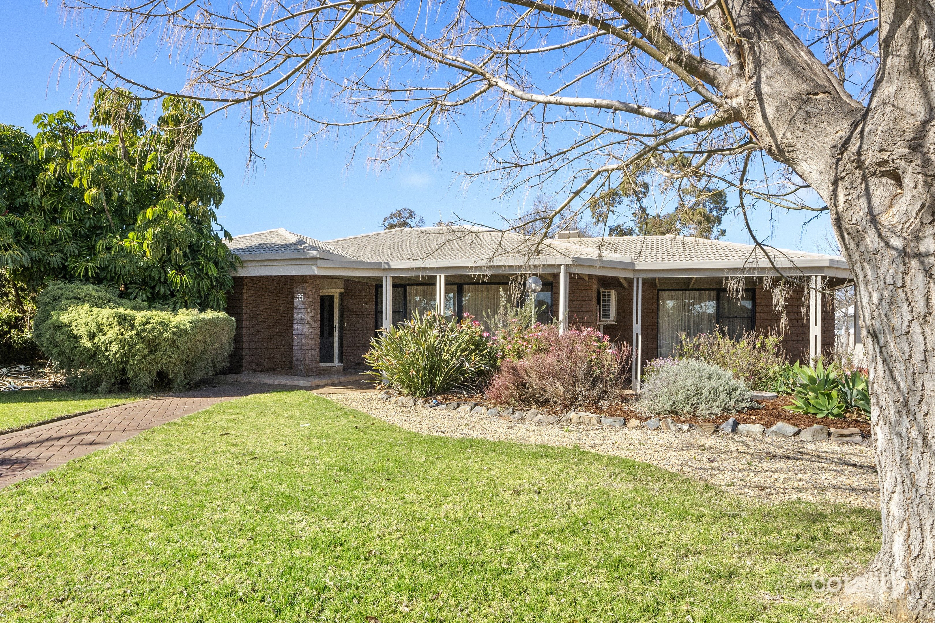 55 Murtho St, Renmark, SA 5341