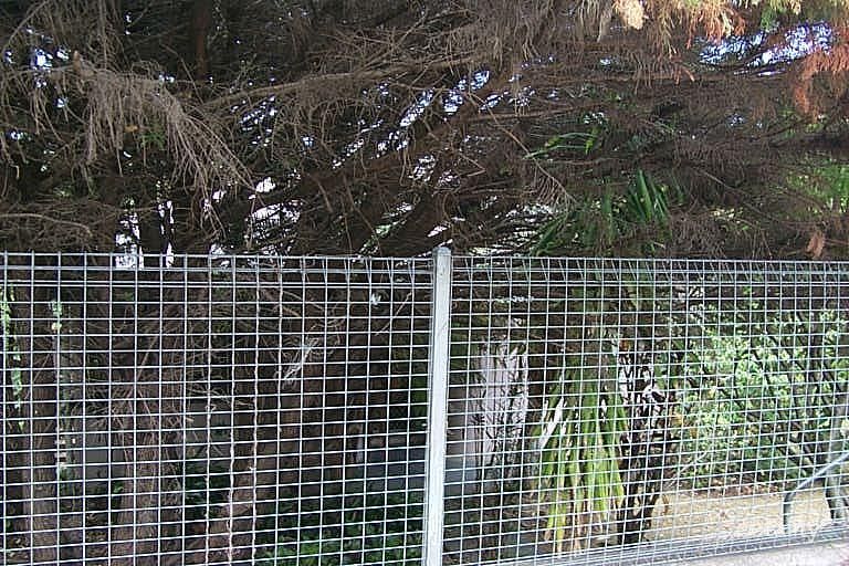 34 Coramba Rd, Coffs Harbour, NSW 2450