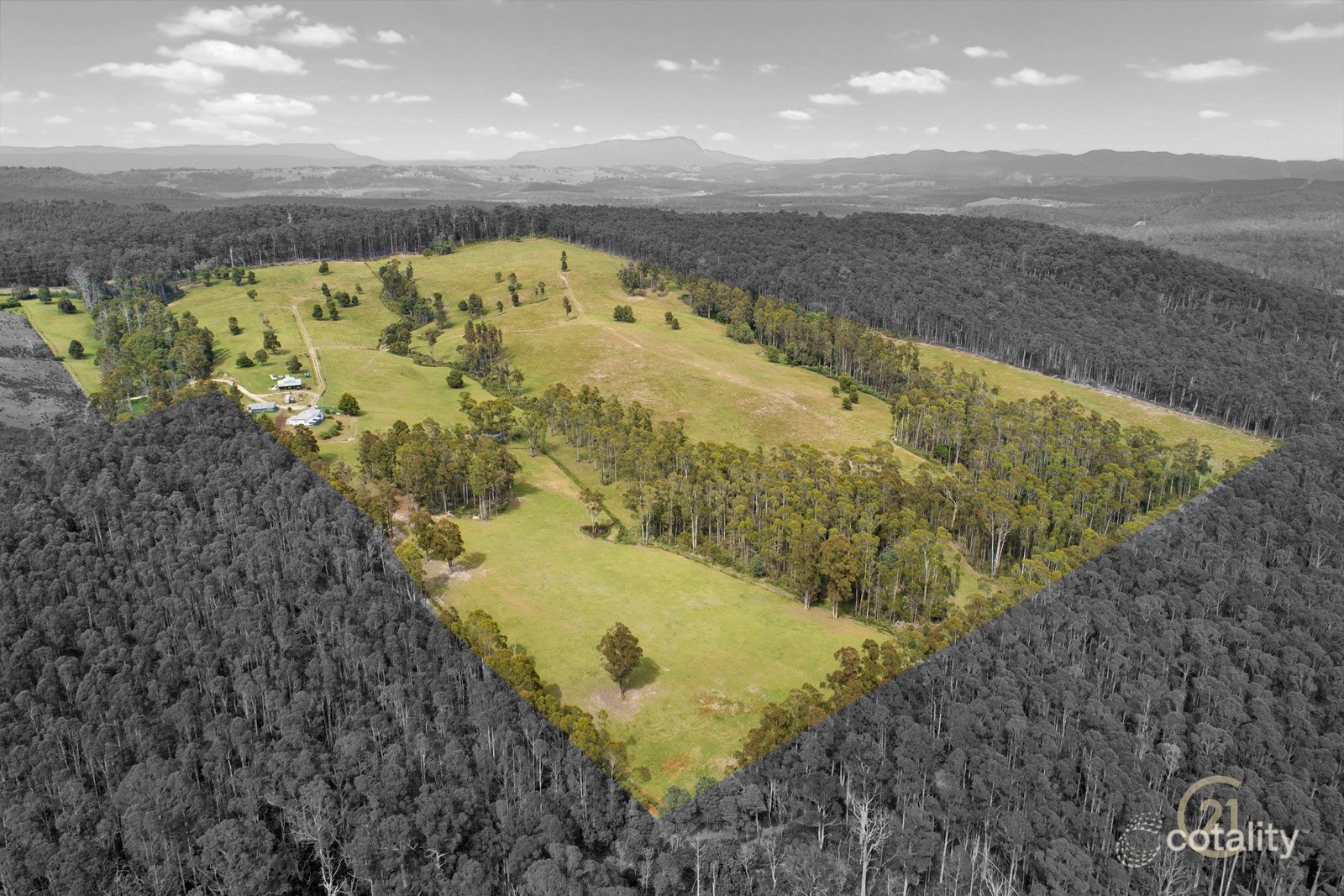 68 Creeleys Rd, Sassafras, TAS 7307