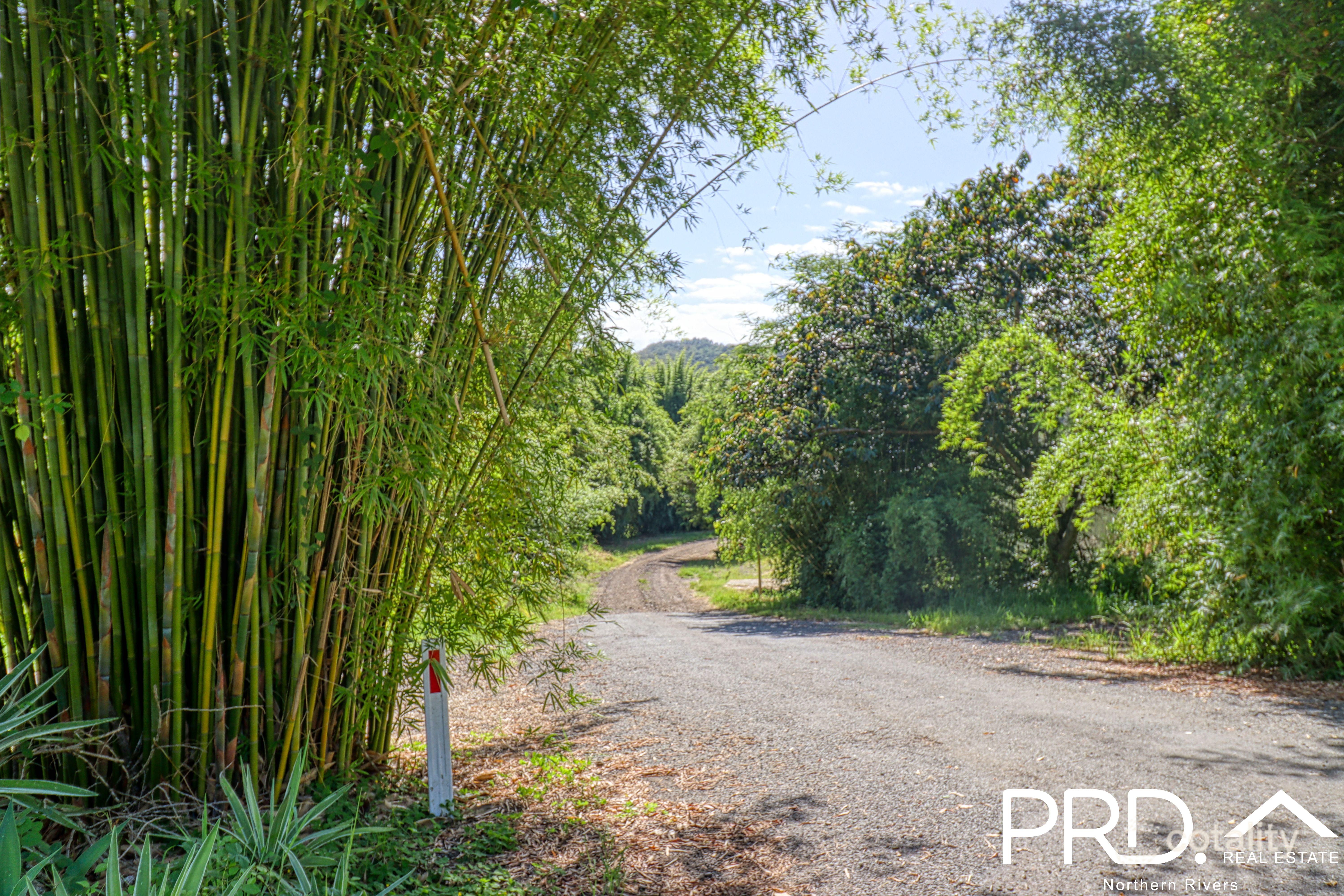 1158 Pinchin Rd, The Channon, NSW 2480