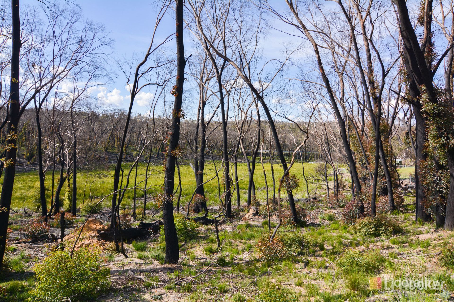 152 Kerma Cres, Clarence, NSW 2790