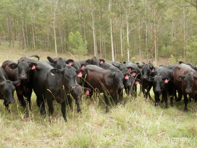 728 Yabbra Rd, Yabbra, NSW 2469