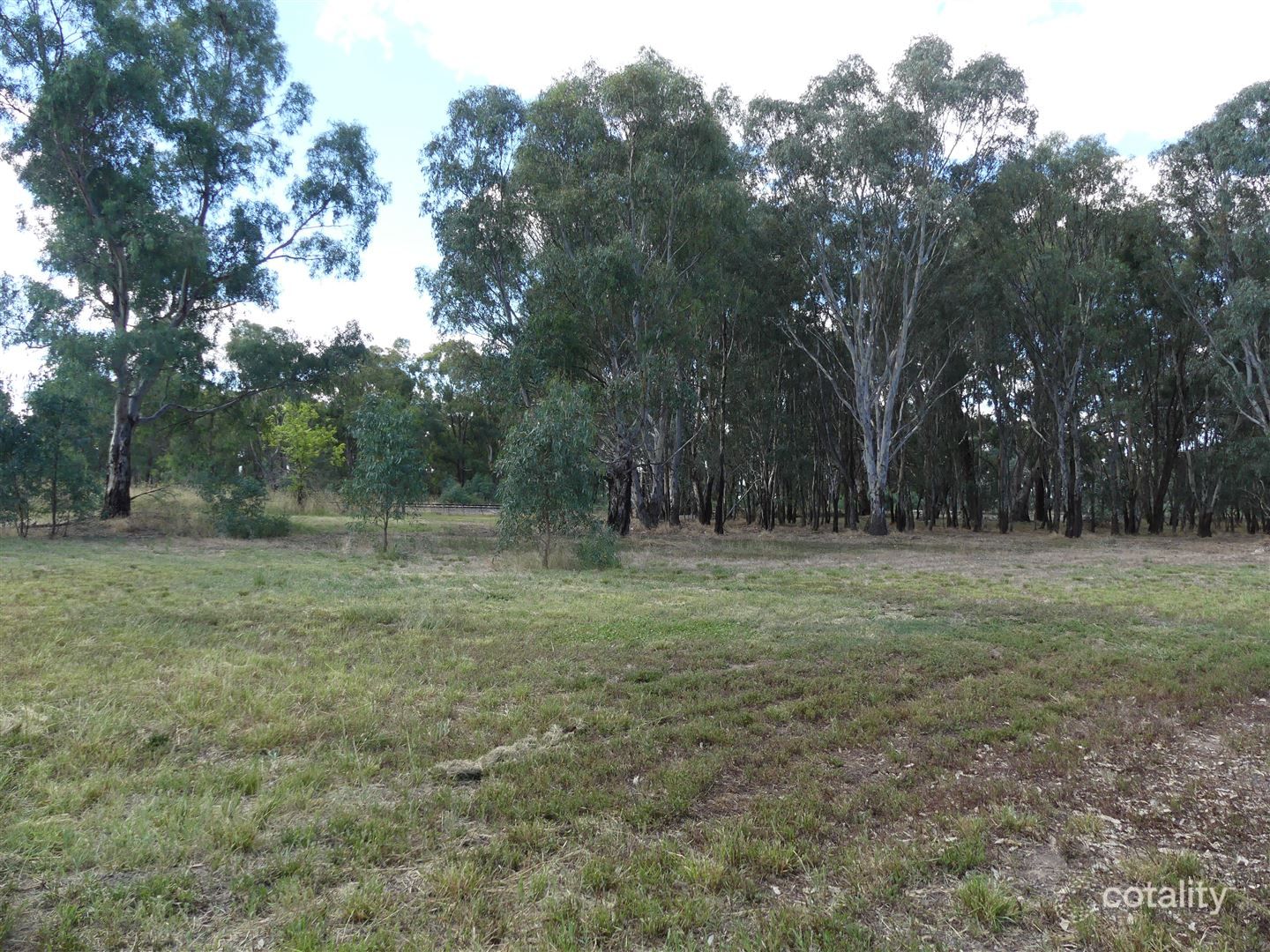 29 Ashwin St, Violet Town, VIC 3669