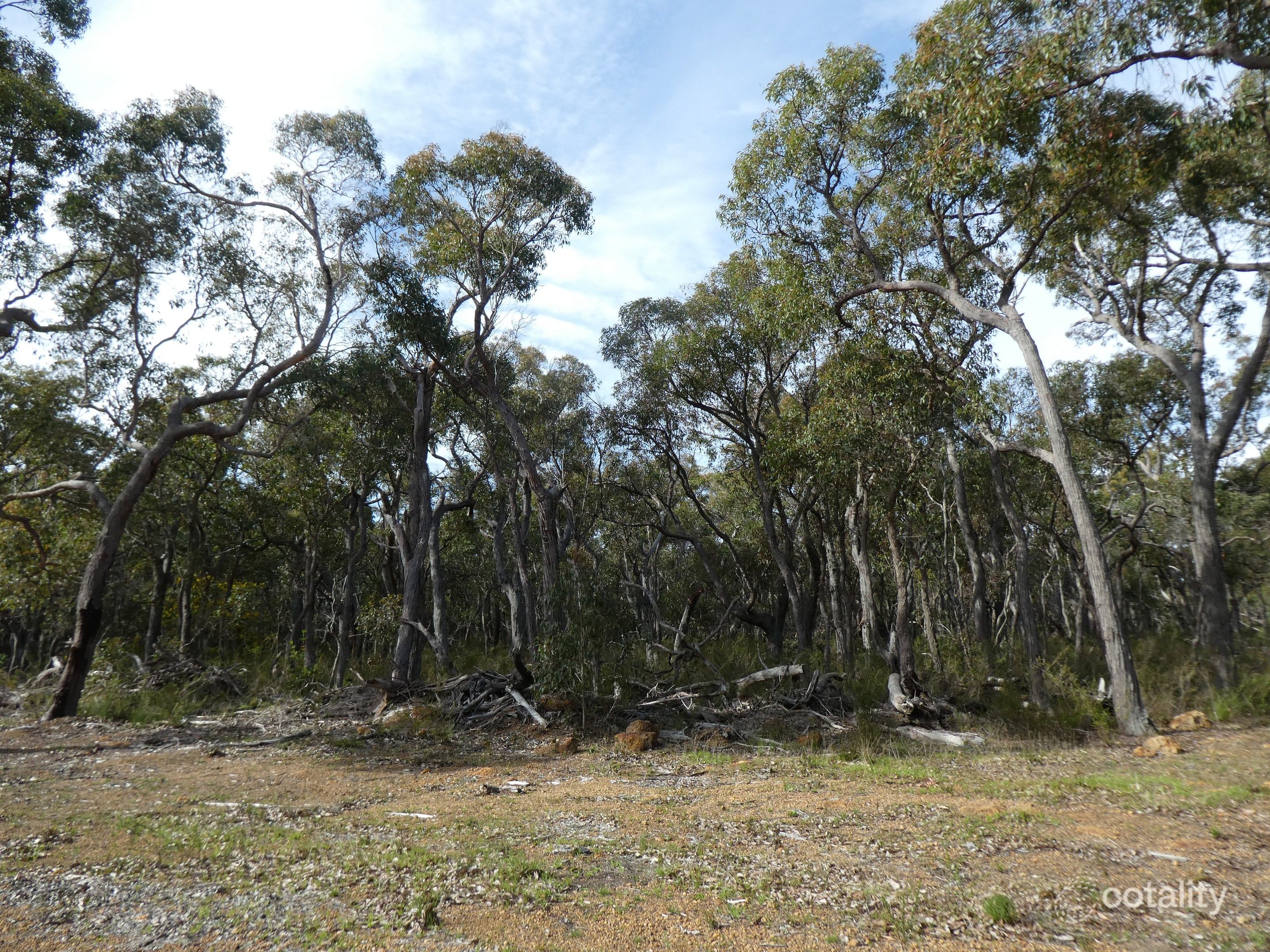 8 Northey Rtt, Mount Barker, WA 6324