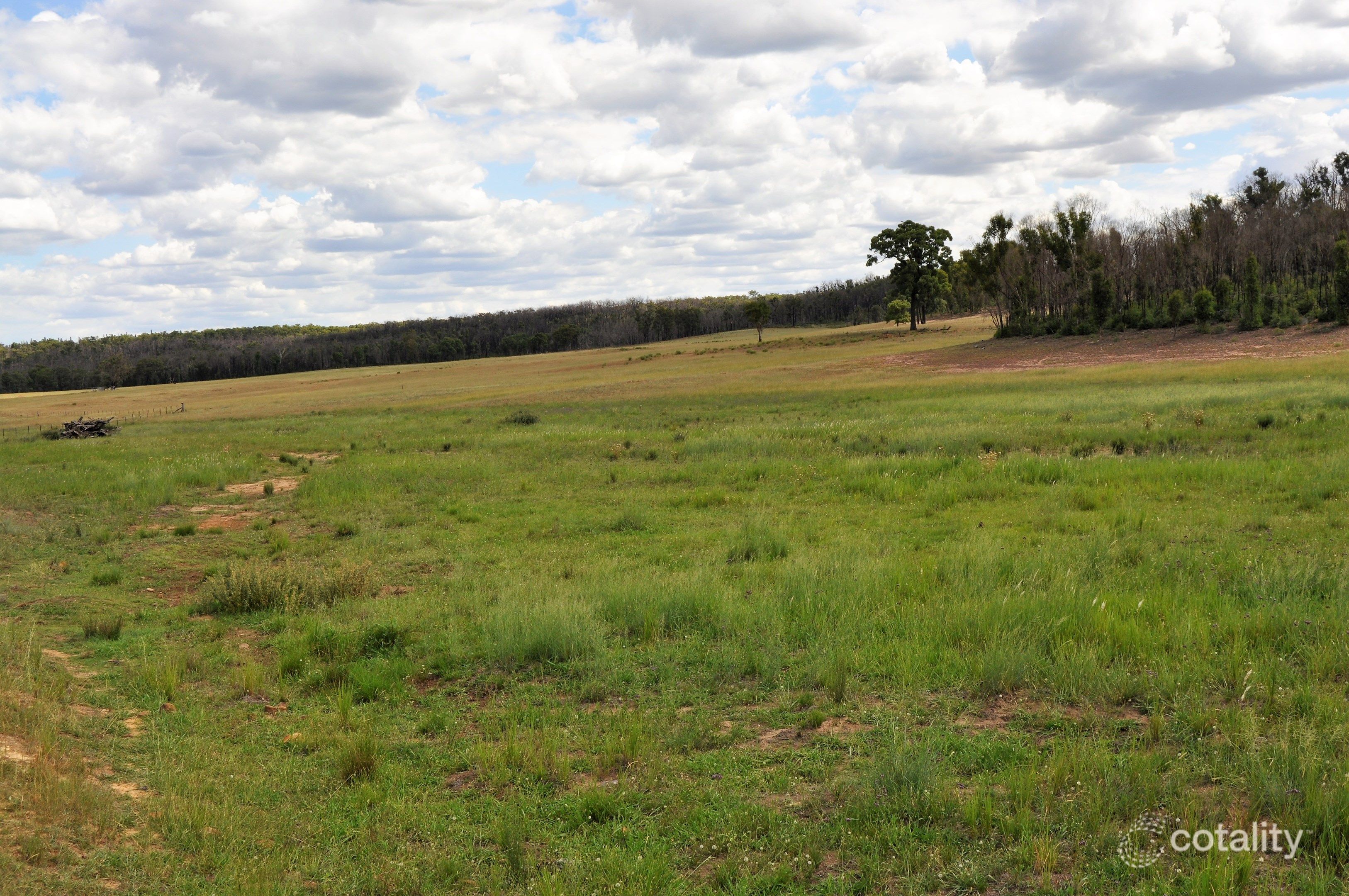 84 Turill Bus Rte, Turill, NSW 2850