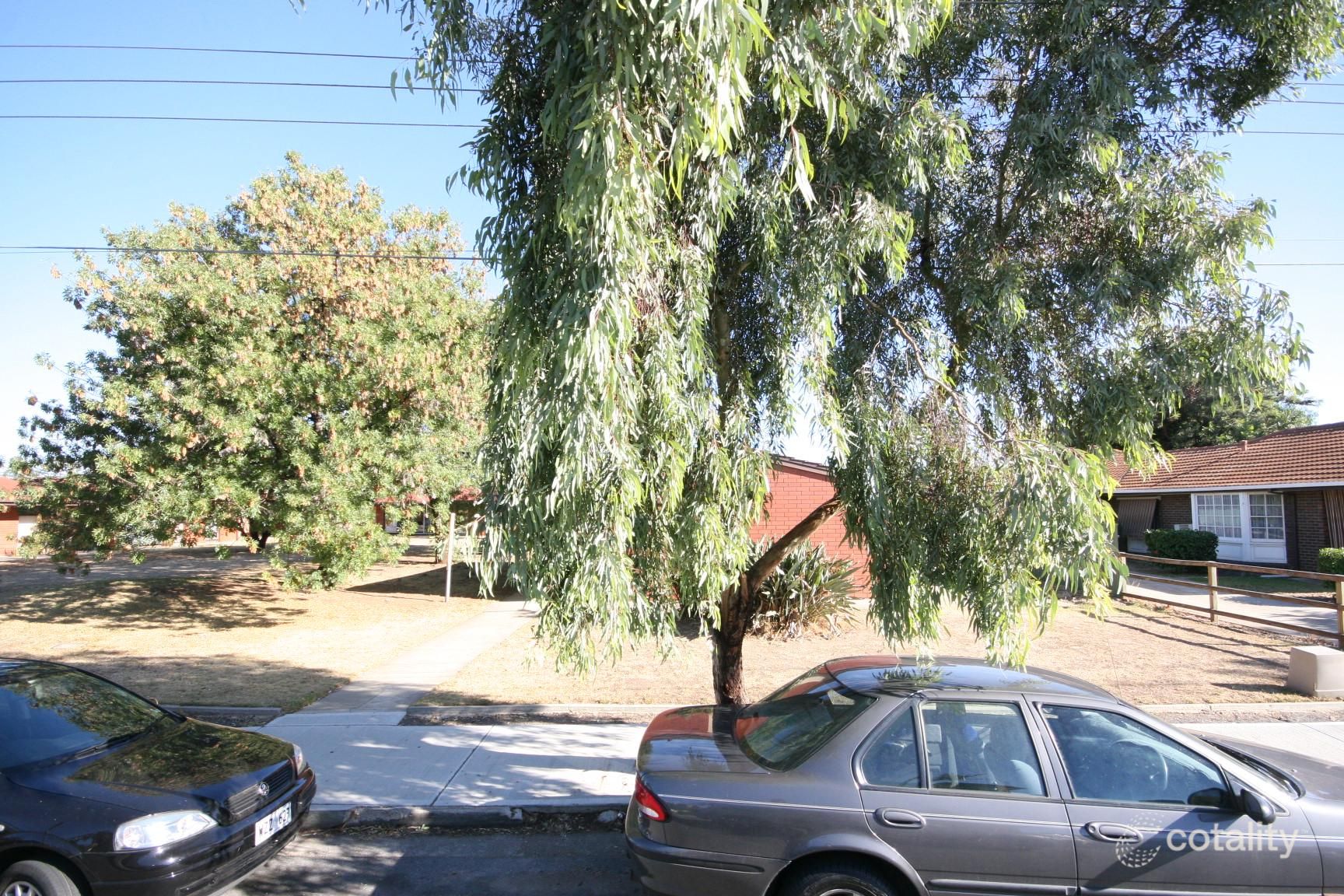 25 Marleston Ave, Ashford, SA 5035