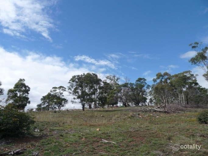 99 Glen Dhu Rd, Molesworth, TAS 7140