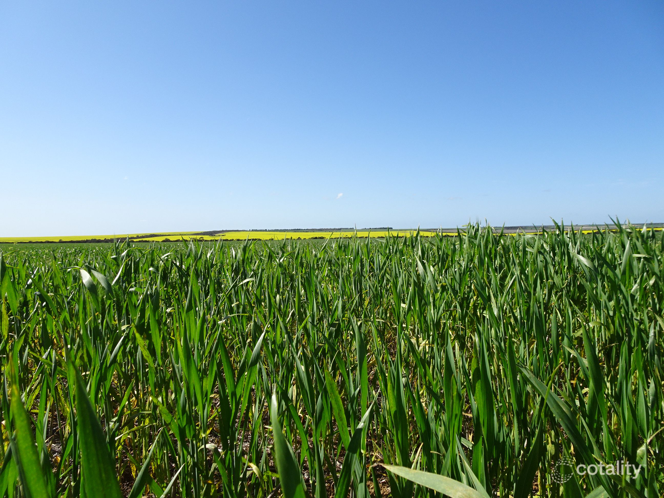 4 King Rocks Rd W, Hyden, WA 6359