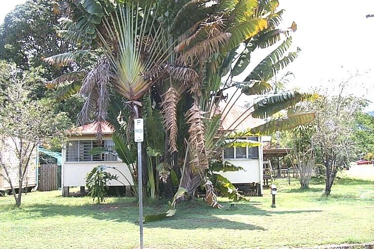 173 Martyn St, Manunda, QLD 4870