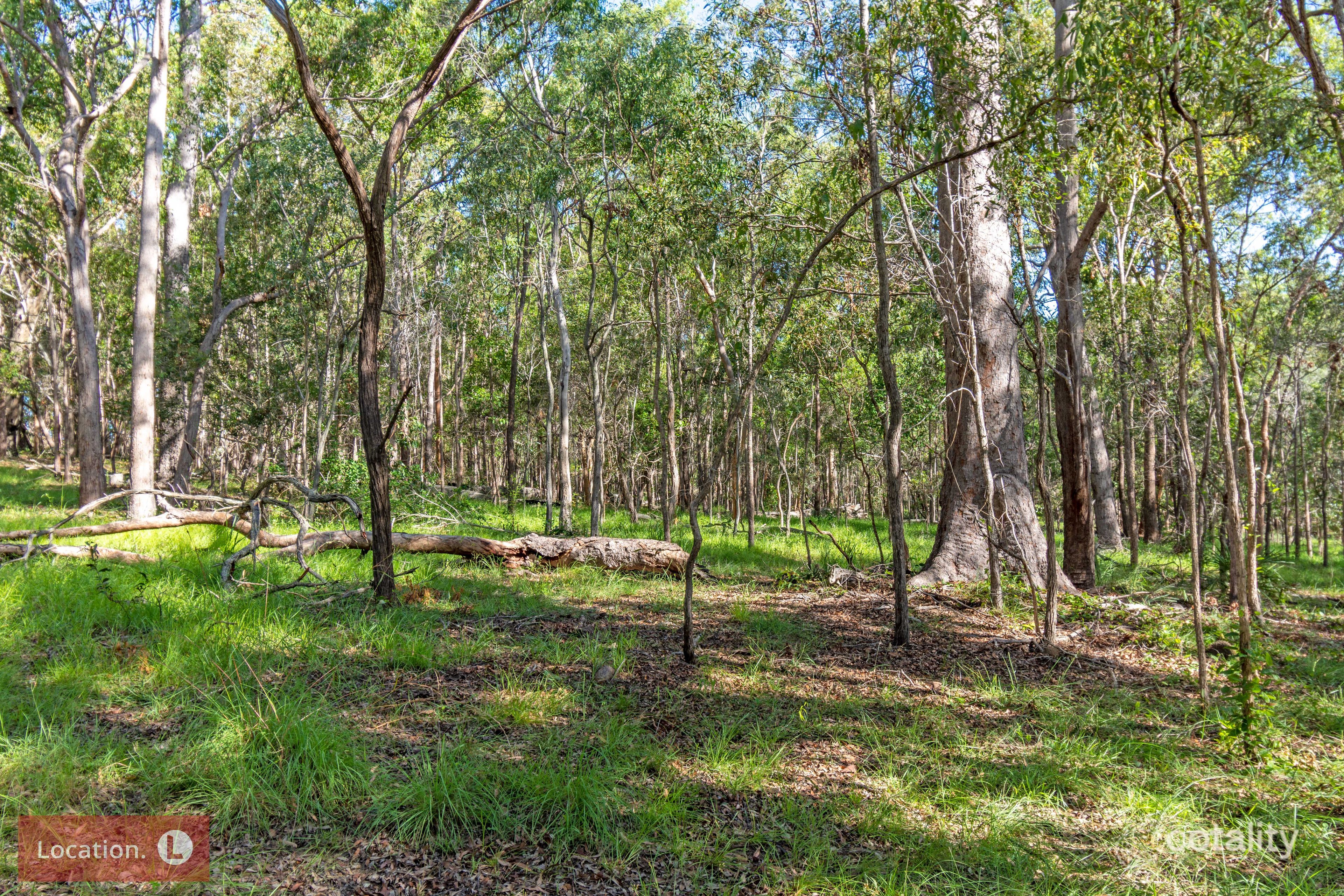 203 Dicksons Rd, Yandaran, QLD 4673