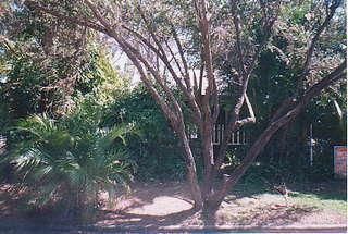 3 Cape St, South Townsville, QLD 4810