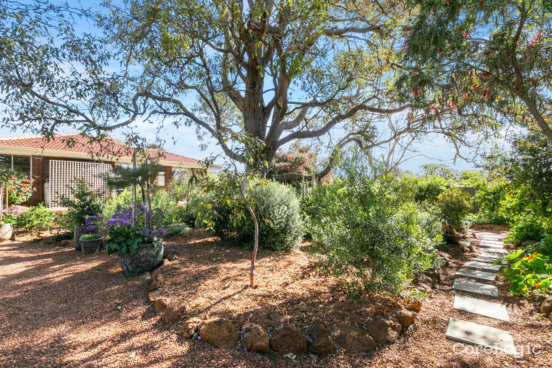 3 Petunia St, Kalamunda, WA 6076