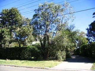 66a Waterview St, Mona Vale, NSW 2103