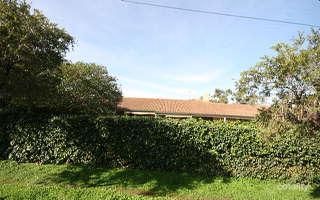 19 Mcshane St, Campbelltown, SA 5074