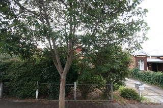 42 Mitchell St, Millswood, SA 5034