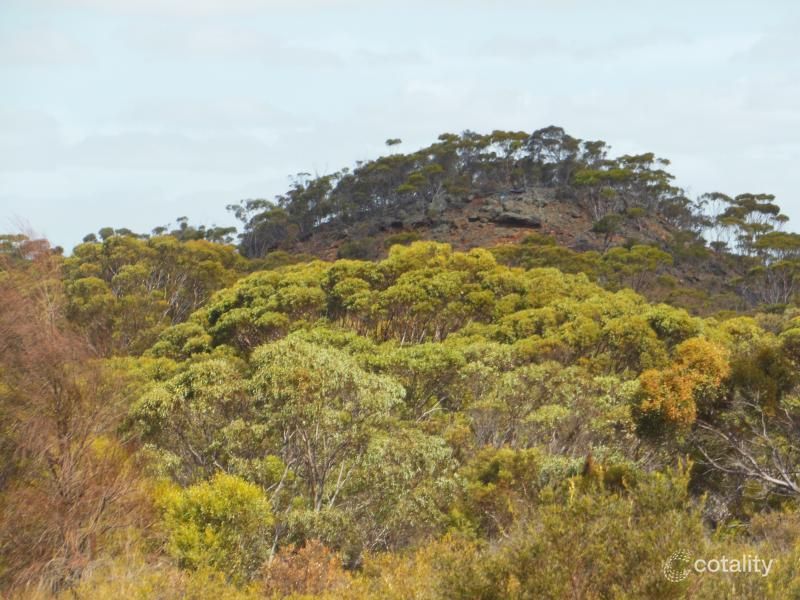 360 Monjebup Rd, Boxwood Hill, WA 6338