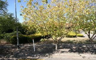 9 Arabian Dr, Woodcroft, SA 5162