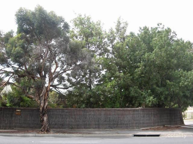 162 Brighton Rd, Somerton Park, SA 5044