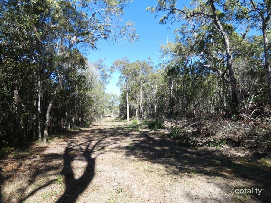 255 Mollenhagens Rd, Winfield, QLD 4670