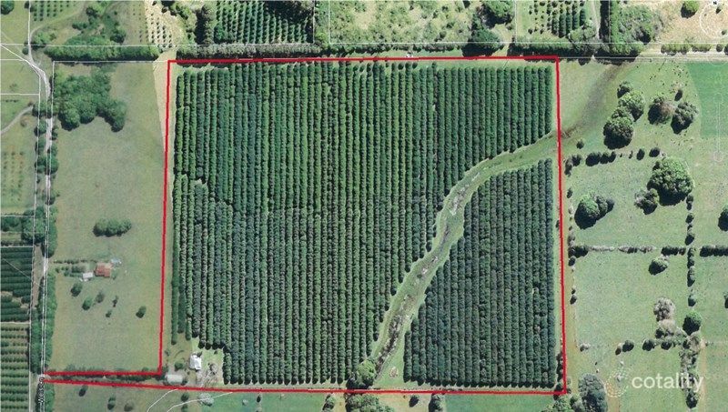 50 Weis Lane, Rous, NSW 2477