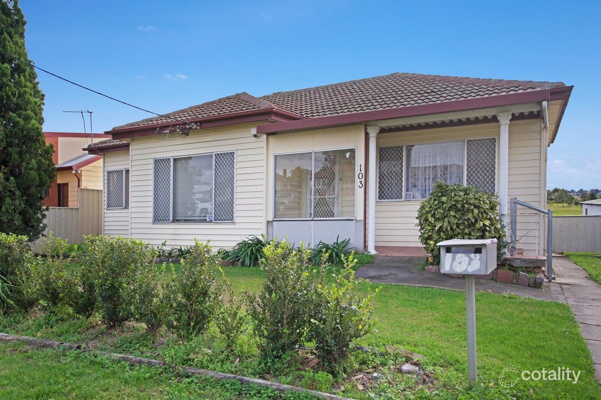 103 Anderson Dr, Tarro, NSW 2322