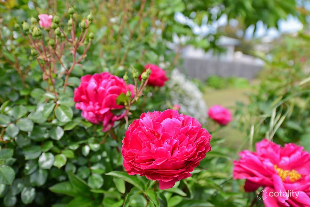 4 Yelgun Pl, Lenah Valley, TAS 7008