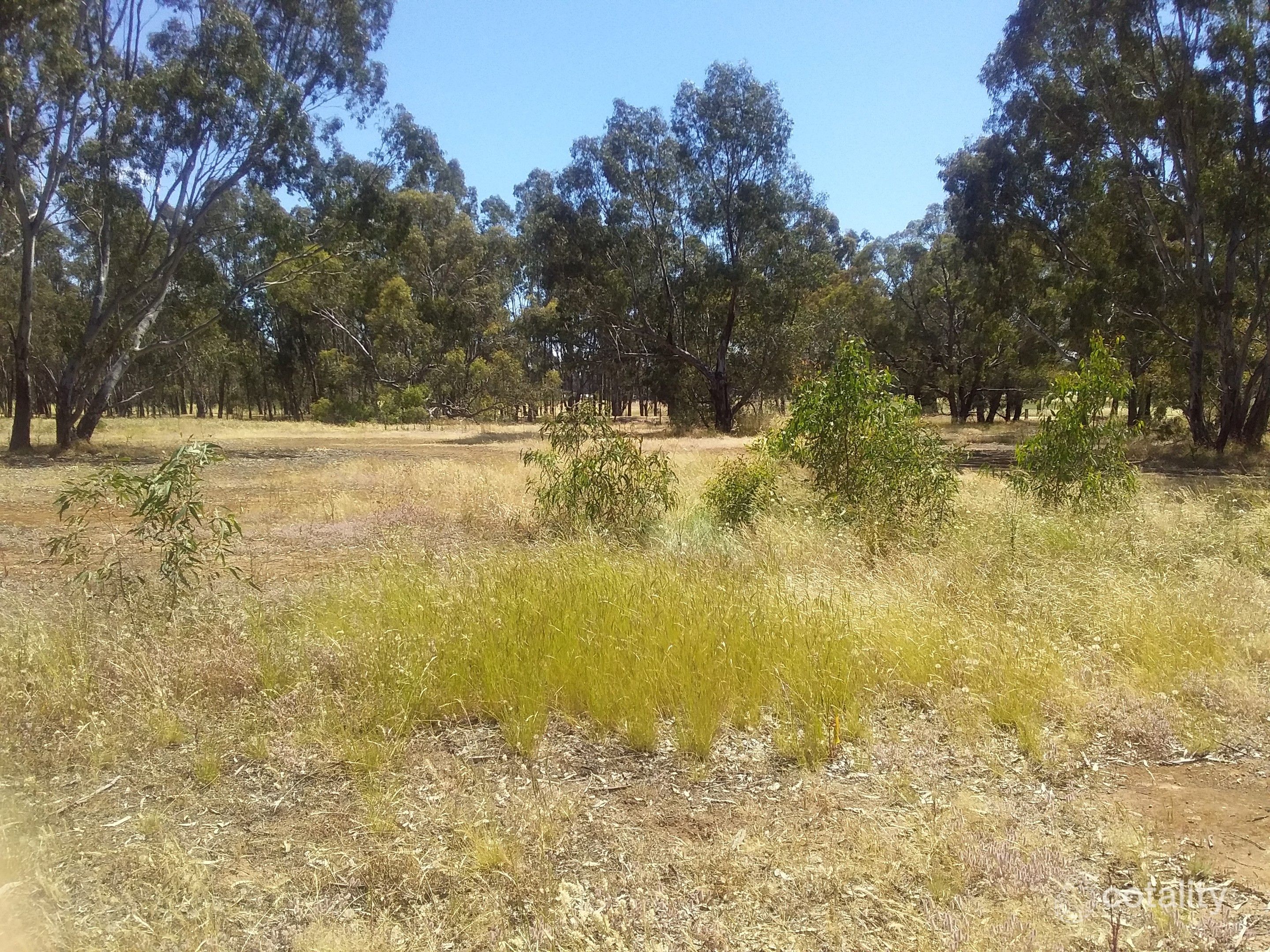 29 Burnt Creek Lane, Dunolly, VIC 3472