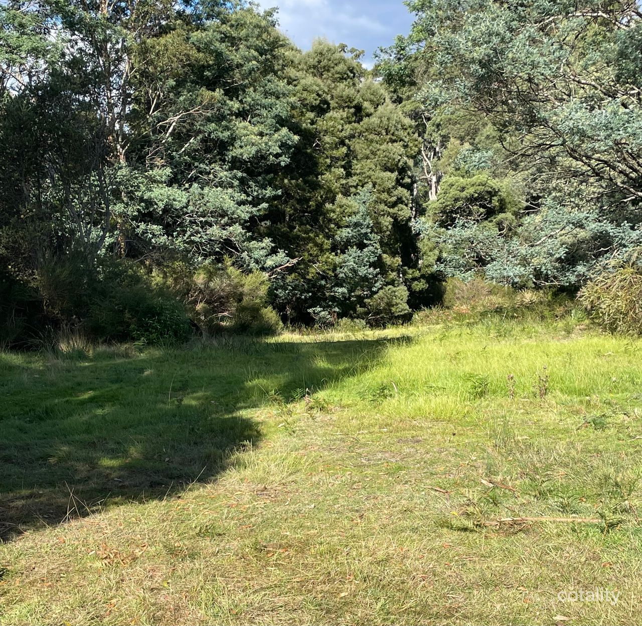 3 Moore St, Pioneer, TAS 7264