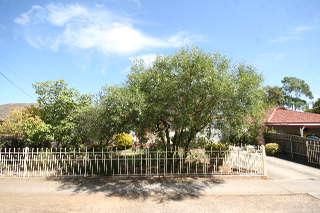 47 Ferry Ave, Plympton Park, SA 5038