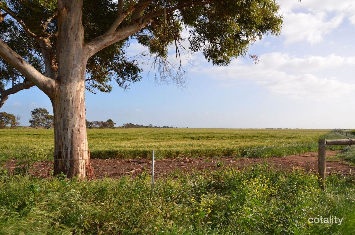 11 Lawrie Rd, Lewiston, SA 5501