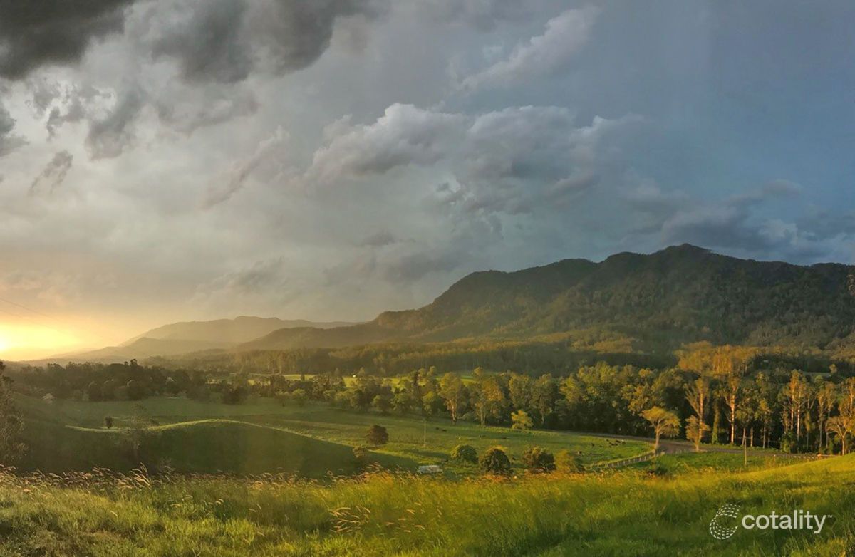 2165 Waterfall Way, Thora, NSW 2454