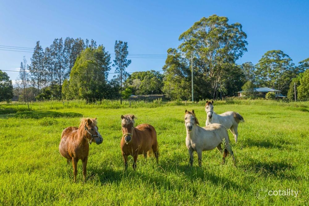 41 Kendall Rd, Kendall, NSW 2439