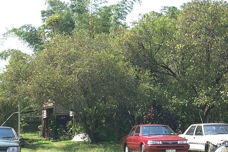 178 Scott St, Bungalow, QLD 4870