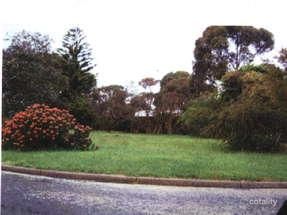10 Birrahlea St, Waratah Bay, VIC 3959