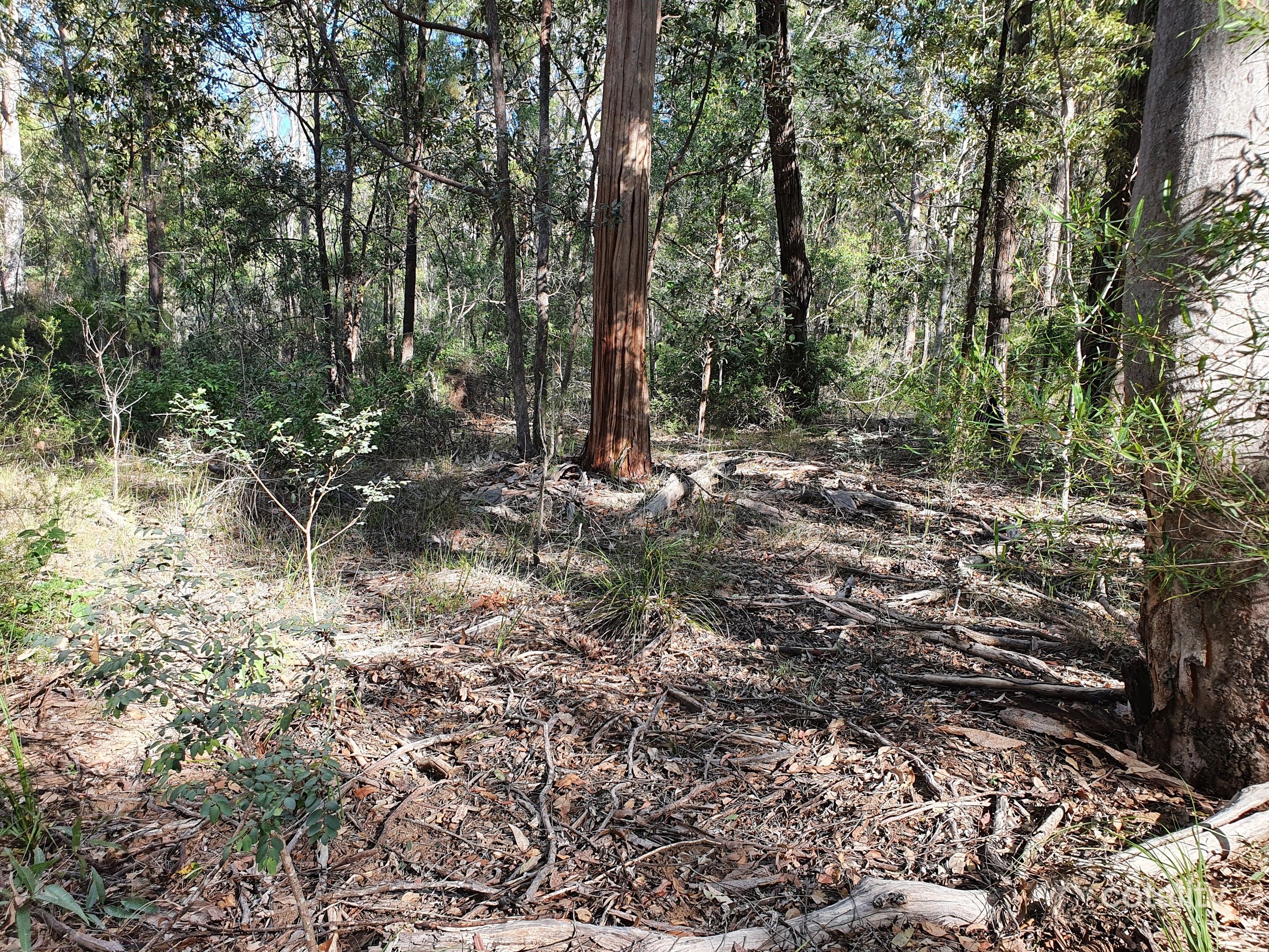 53 Packer Rd, Blackbutt North, QLD 4314