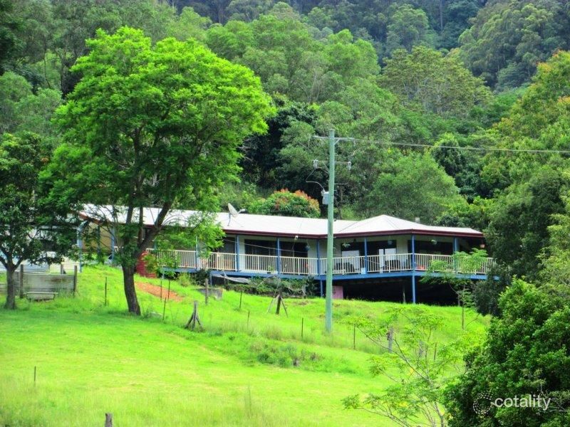 369 Carsons Rd, Upper Taylors Arm, NSW 2447