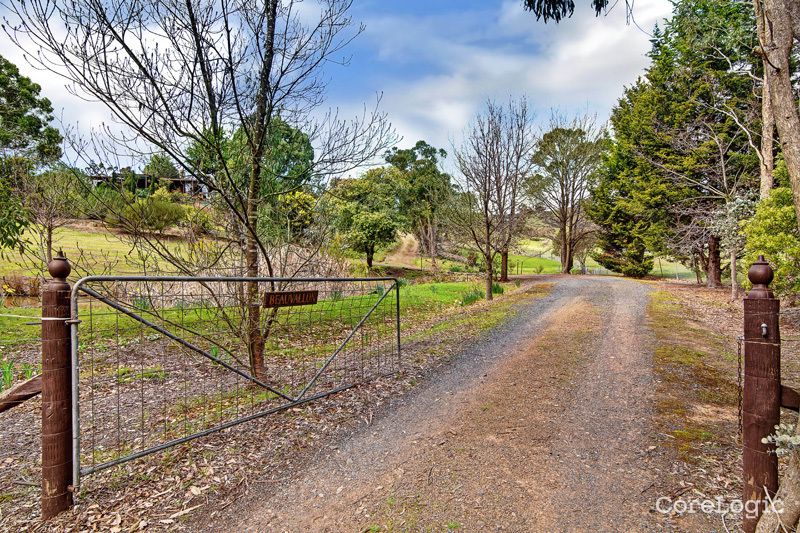 355 Reedy Creek Rd, Reedy Creek, VIC 3658