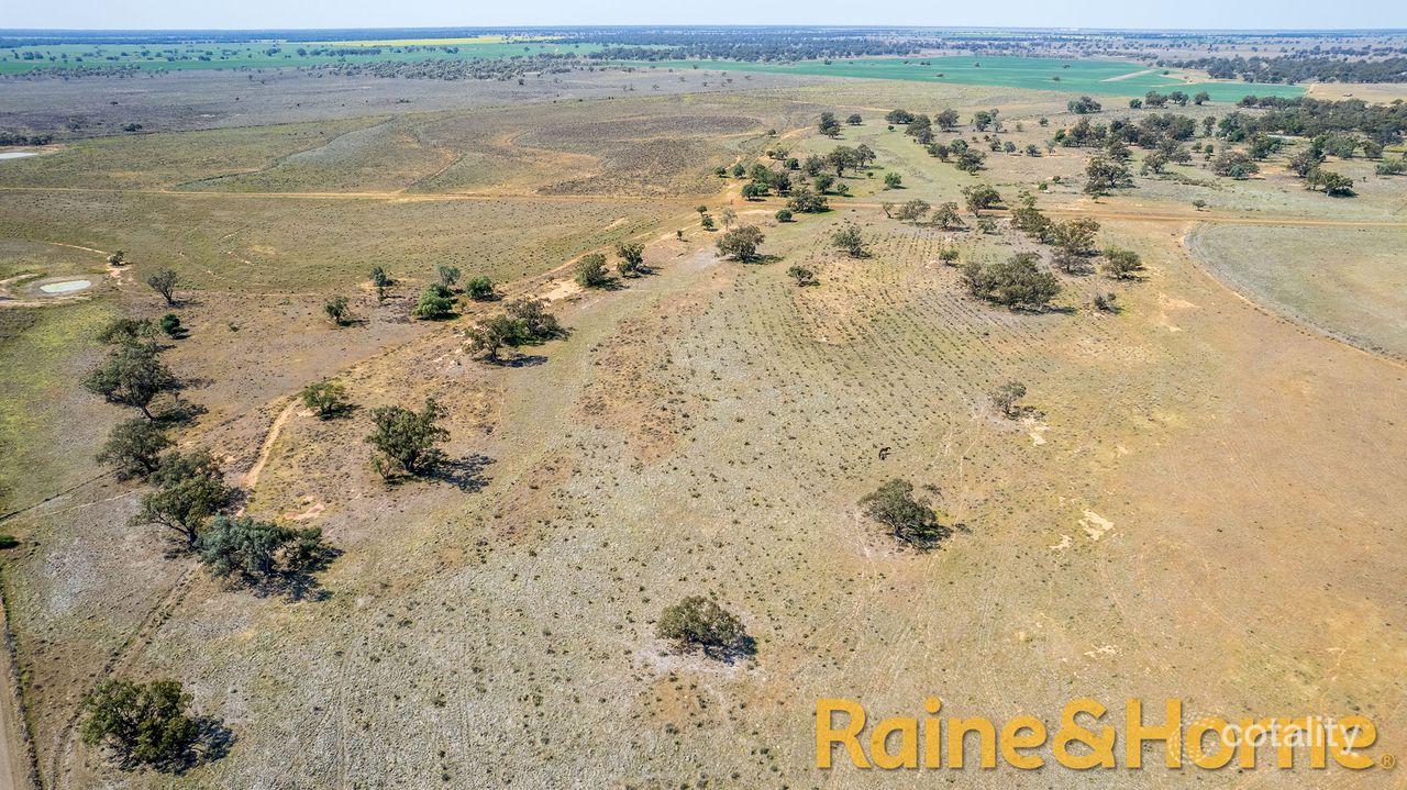 12094 Mitchell Hwy, Nevertire, NSW 2826