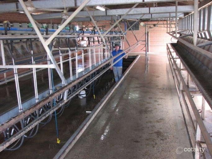 1007 Middleton Rd, Bamawm, VIC 3561