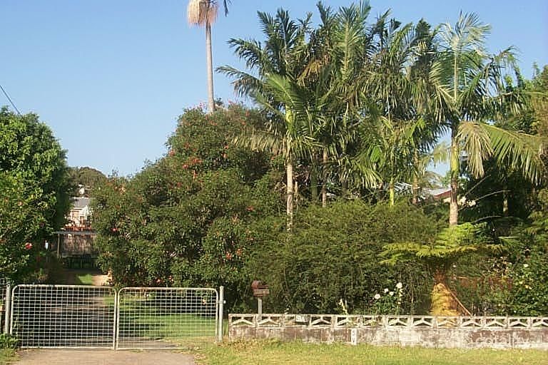59a Gundagai St, Coffs Harbour, NSW 2450