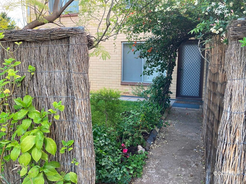 3/12 Mcquillan Ave, Renown Park, SA 5008