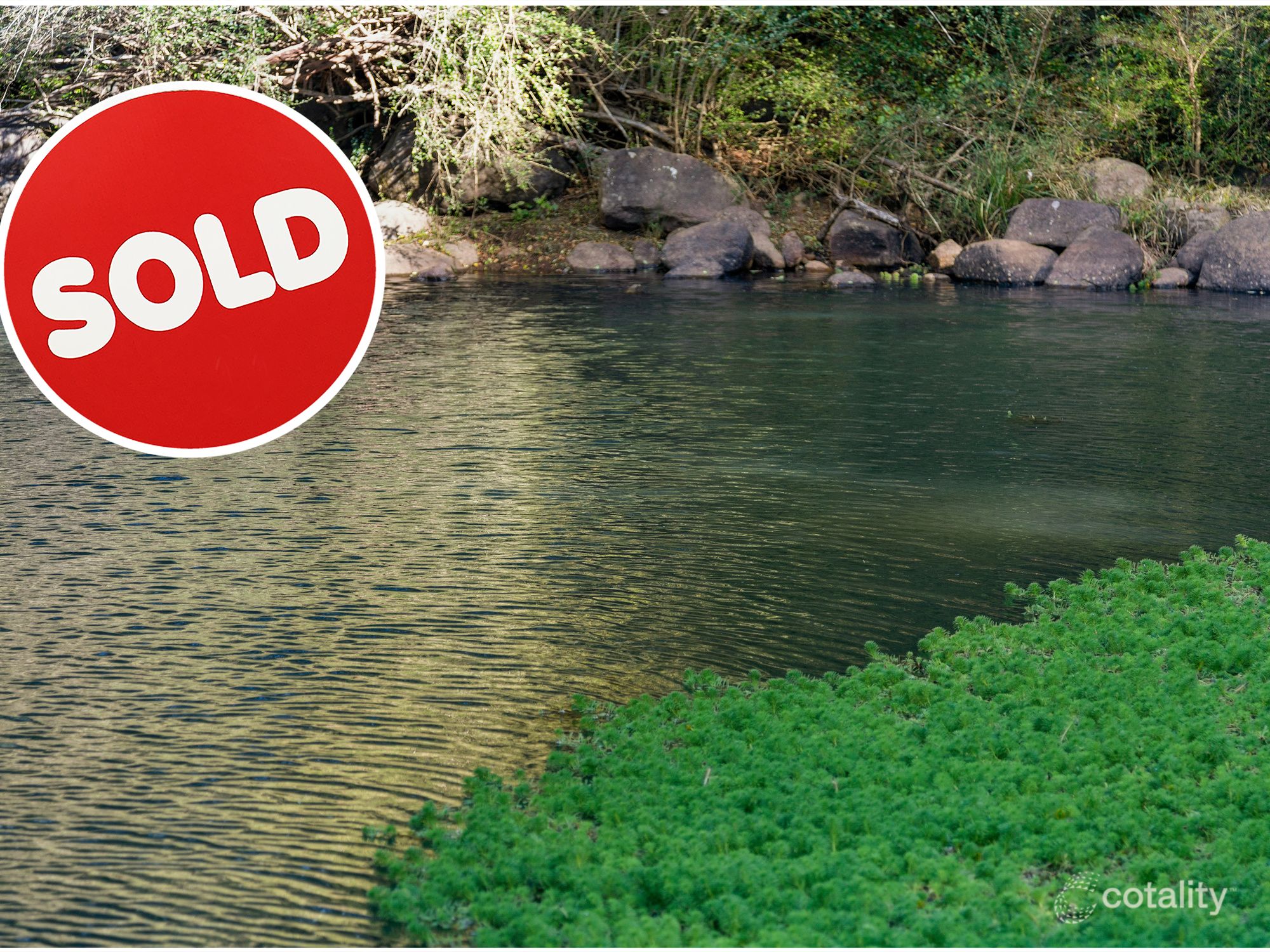 1242 Tuntable Creek Rd, Nimbin, NSW 2480