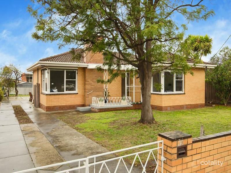 3 Hazel St, Belmont, VIC 3216