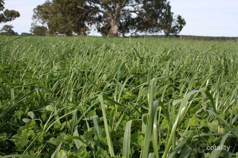 248 Cockys Lane, Conmurra, SA 5272